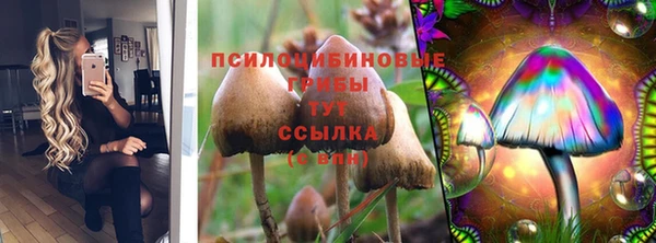 ALPHA PVP Аркадак